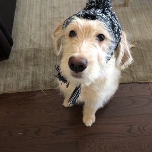 Meet your Posher, Ally